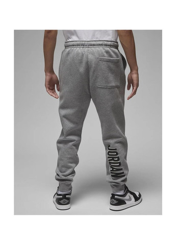 Серые демисезонные брюки Jordan