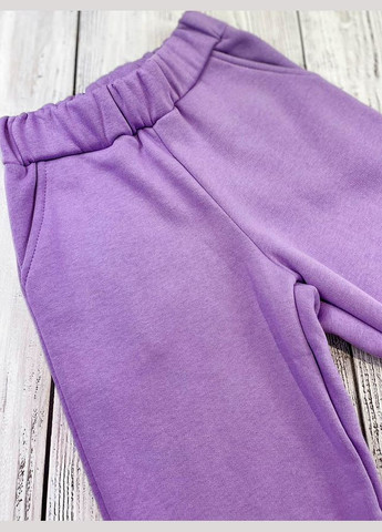 Утеплений костюм для дівчинки Фламинго (306903950)