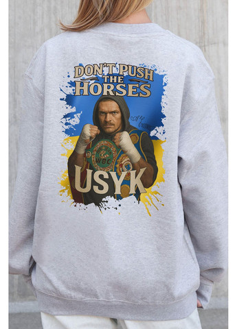 Серый женский утепленный оверсайз свитшот на флисе с принтом dont push the horse Without однотонный без декора (366740711)