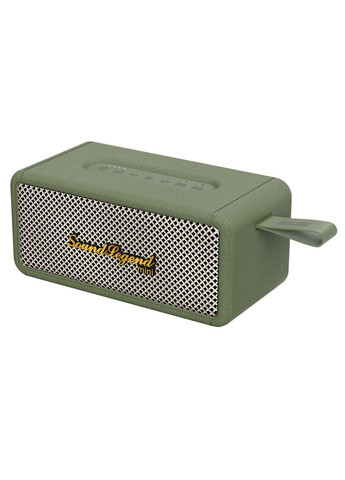 Портативна акустична система SoundLegend Mini 40Вт, BT 5.3, TWS, FLAC, MP3, WAV, EQ, PowerBank, IPX6, Зелений 2E (388869943)