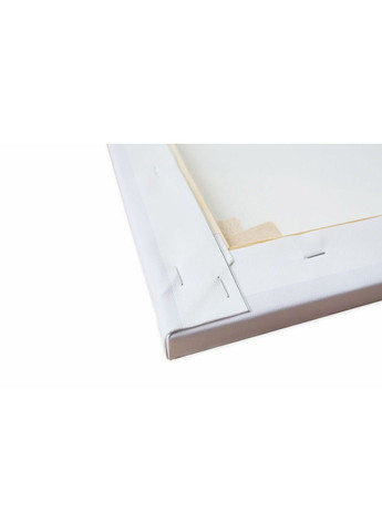 Картина на холсте Тыквы No Brand (324106415)