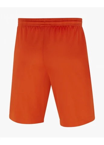 Шорти Park Iii Orange Bv6865-819 Nike (399401735)