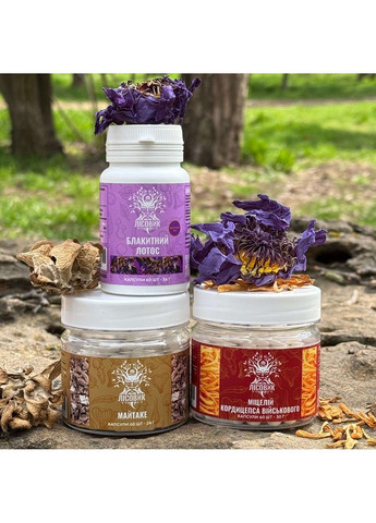 Курс Creativity Unleashed Творчий потік (1 місяць) Лісовик (364210580)