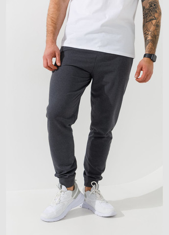 Темно-серые спортивные демисезонные брюки Demos