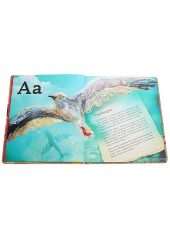 ПтахАбетка. Українські пернаті. Панаріна Ірена РАНОК (349839494)