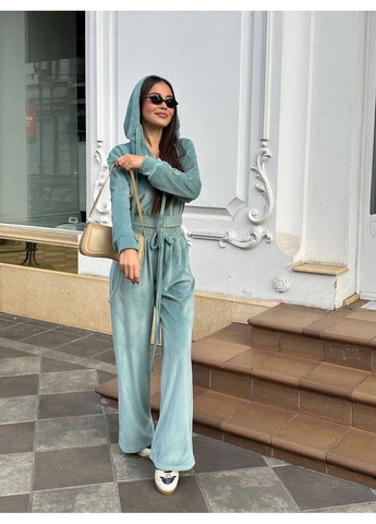 Жіночий велюровий спортивний костюм FINO Mode (354343974)