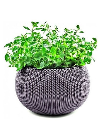 Вазон Cozies M 9,4 л фіолетовий Keter (316623226)