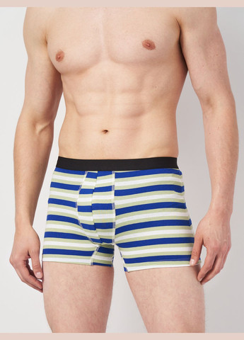 Труси (3шт) Basic Collection (295079675)