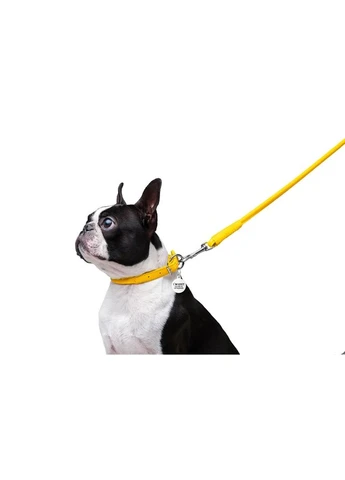 Повідець WAUDOG Glamour круглий 8 мм x 122 см шкіряний ProDobro (398477614)