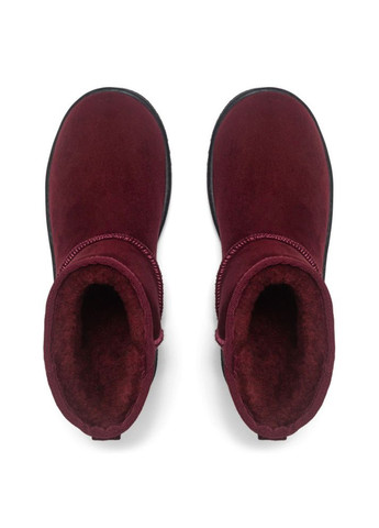 Угги укороченные женские Dakota бордовые Oldcom DAK (265392214)