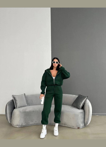 Теплий жіночій костюм No Brand (319321265)