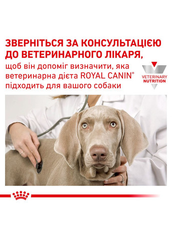 Сухой корм для взрослых собак Diabetic Dog 1.5 кг (3182550798945) (4086150) Royal Canin (316226803)
