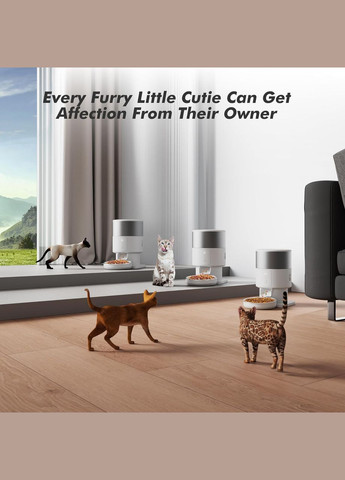 Автоматическая кормушка для кошек и собак PF07 2L WIFI, смарт кормушка для животных Petrust (299915647)