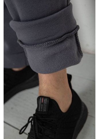 Темно-серые демисезонные брюки Ager