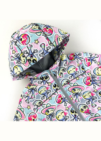 Комбинированный демисезонный комплект на слимтексе нейлон демисезонный разноцветный 1-set-ny-sl-dh-p-51-1-06242 Marakas