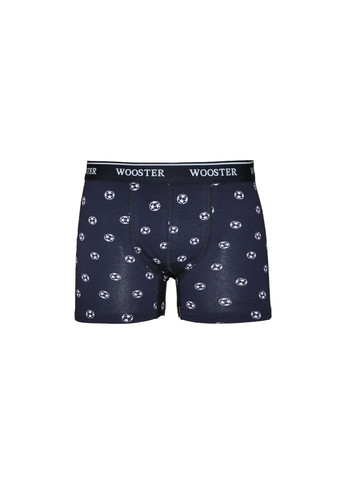 Комплект трусов Wooster (322081837)