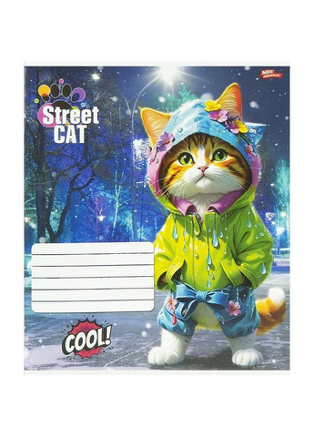 Тетрадь 12_л. клетка "МЕЧТЫ" / Street Cat Мрії Збуваються (356005889)
