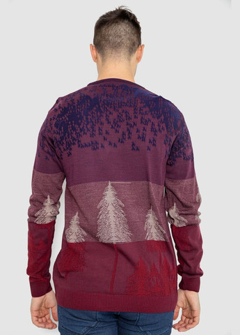 Сливовый зимний свитер мужской повседневный Ager 247R6138