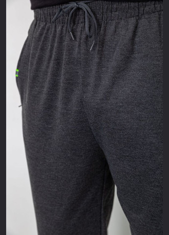 Темно-серые демисезонные брюки Ager