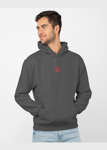 Худи теплое мужское с гербом пудровое Mishe (306437408)