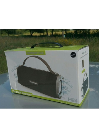 Колонка H24 Hopestar (296925861)