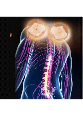 Комплект набор массажер накидка для спины с импульсным массажером бабочкой для укрепления мышц снятия боли (477814-Prob) Unbranded (300332448)