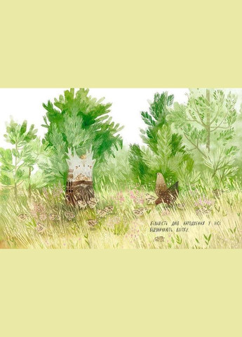 Книга для дітей День народження ялинки Видавництво Старого Лева (273237562)