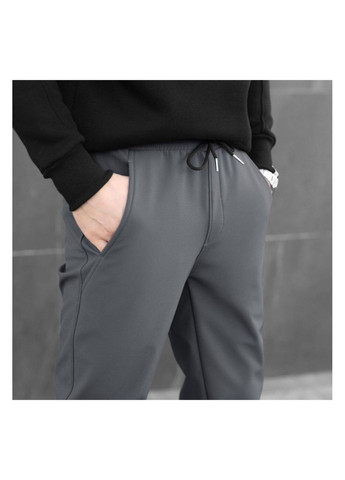 Серые повседневный демисезонные брюки No Brand