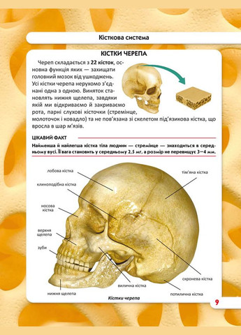 Світ навколо нас. Тіло людини Кристал Бук (316083420)