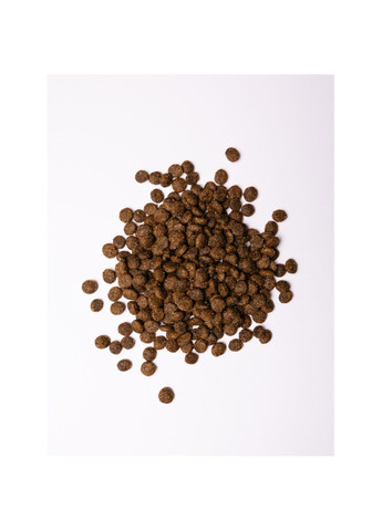 Сухой корм Small для собак малых пород, со свежим ягненком и индейкой, 3 кг Savory (362702216)