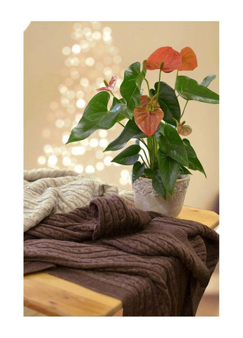 Плед SOFT коси Мокко (015) 140х180 см Прованс (366970025)