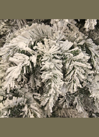 Вінок ø 45 см декоративний Dinsmore Frosted зелений зі снігом Black Box (329407200)