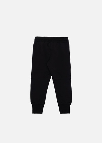 Черные демисезонные брюки Asya