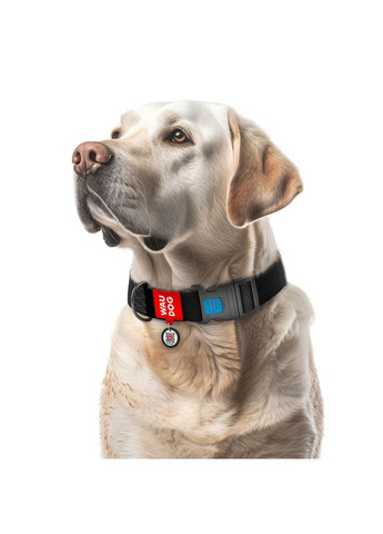 Нашийник для собак водостійкий Waterproof з QR паспортом, пластиковий фастекс, XXL, Ш 40 мм, Дов 46-70 см, чорний WAUDOG (322328366)