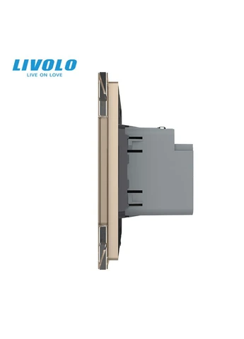 Розетка USB Type-C з Power Delivery 45W золото (VL-C7-FCUC-2AP) Livolo (370970033)