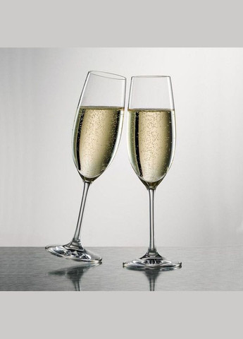 Комплект бокалов для шампанского Ivento 228 мл 6 шт Schott Zwiesel (316625714)