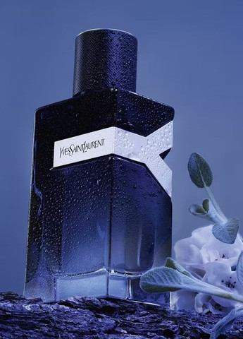 Парфюмированная вода Y Eau De Parfum (пробник), 1.2 мл No Brand (297139291)