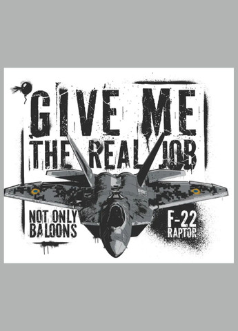 Біла футболка aviatsiya halychyny f-22 white No Brand