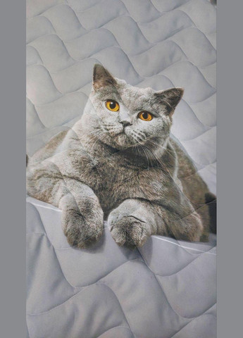 Летнее одеяло для аллергиков 175х215 Серое (П4Кlito-kovdra-001/16-02) No Brand (306633294)