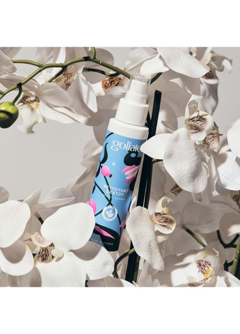 Антибактеріальний спрей для іграшок Goliate Nettoyant Sextoy 100 мл, безпечний для тіла No Brand (369636871)