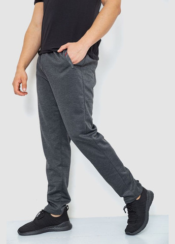 Темно-серые демисезонные брюки Ager