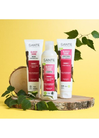 БИО-Кондиционер Glossy Shine для блеска волос с Протеиновым комплексом и Березовыми листьями 150 мл Sante (298055726)