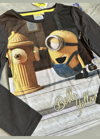 Серый лонгслив Minions с рисунком