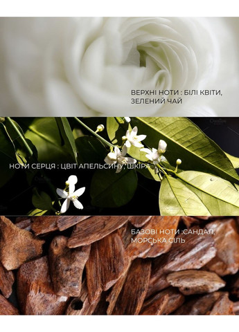 Парфюмированная соевая свеча Pachouli Spirit 15 г (584) dott (366424149)