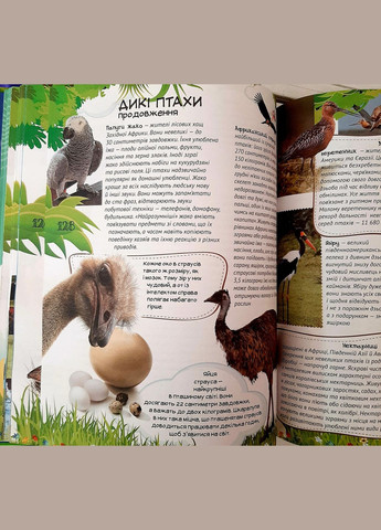 Книга Все про все Велика енциклопедія молодшого школяра Батий Я. вид. укр РАНОК (312507785)