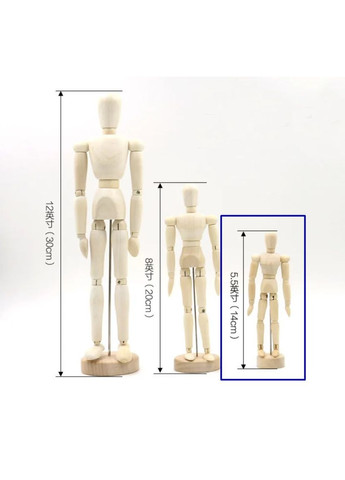 Деревянная модель человека 14 см No Brand (278654758)
