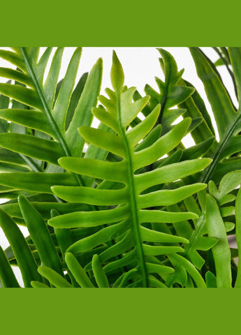 Штучна рослина в горщику ІКЕА FEJKA 9 см в Папротка (50493349) IKEA (271120710)