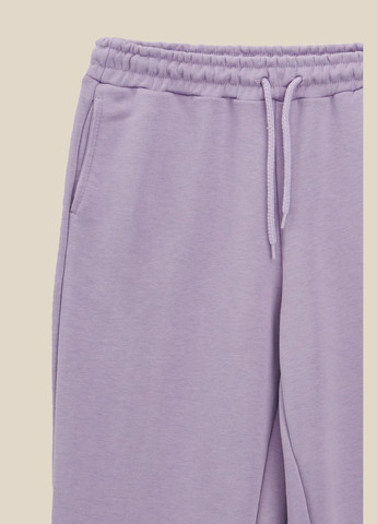 Лавандовые спортивные демисезонные брюки LAWA