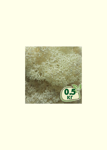 Стабилизированный мох ягель Натуральный белый 0,5 кг Nordic moss (278652098)