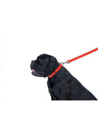 Поводок для собак водостойкий Waterproof, L-XXL, Ш 25 мм, Длинна 183 см красный WAUDOG (322641946)